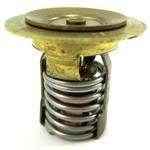 160 Degree Thermostat | Volvo 3856961