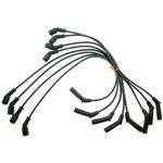 8.1L Spark Plug Wire Set | Crusader RK120019