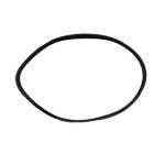 Alternator Serpentine Belt | Indmar 725010