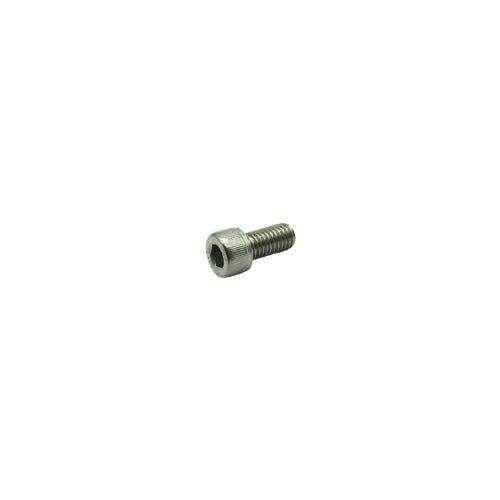 Crusader Shcs, M8 X 1.25 X 16 (Ss) 99335016