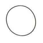 Oberdorfer Pumps O-Ring 9797-038