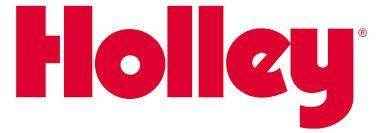 Renew Kit Throttle Body Injection | Holley 503-3