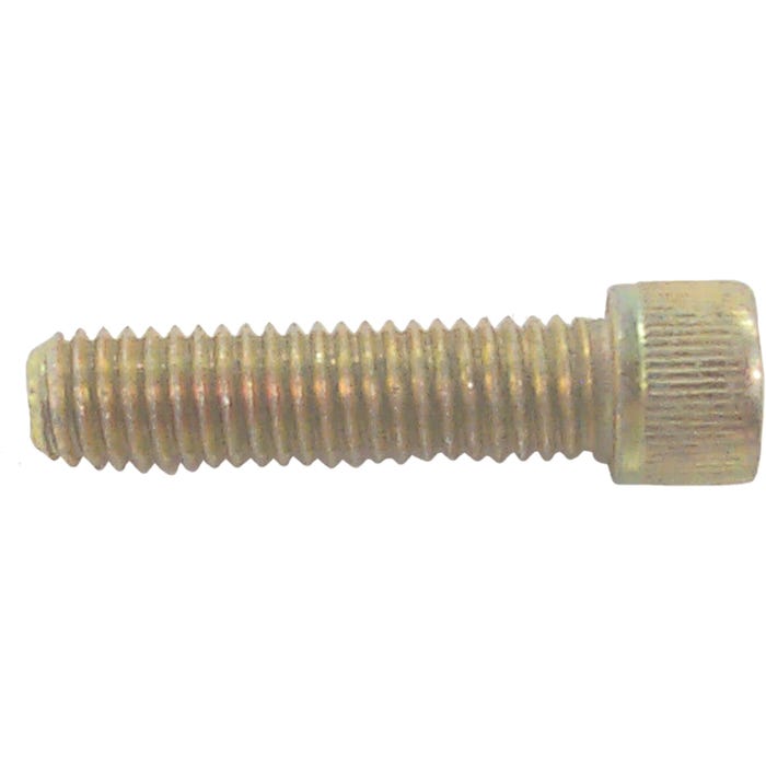 Anode Mounting Bolt Mercury | Sierra 18-6245