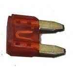 Crusader Fuse 10 Amp R153017