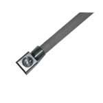 Fuel Tank Pickup 36" Long 3/8" MNPTF x 1/4" FNPTF | EVM 3814WA3600N-P