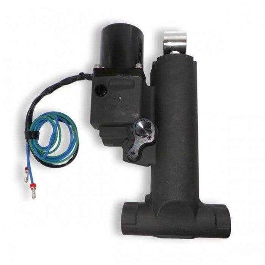 Single Ram Hydraulic Lift Assembly | Johnson Evinrude 5008949