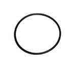 Omc O-Ring 308876