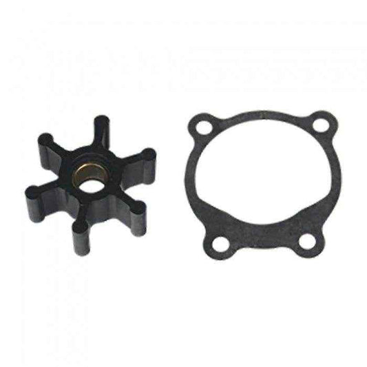 Repair Kit for Pump OP-6 and OP-700 | Reverso Pumps 38-0360