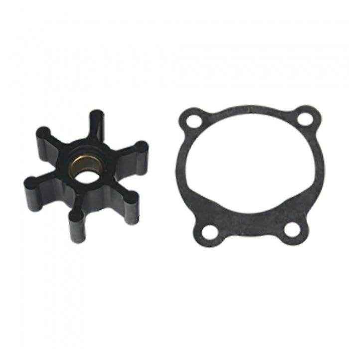 Repair Kit for Pump OP-6 and OP-700 | Reverso Pumps 38-0360