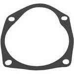 Sierra Impeller Gasket 18-2563