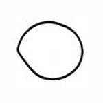 Sierra Impeller Housing Seal 18-2536
