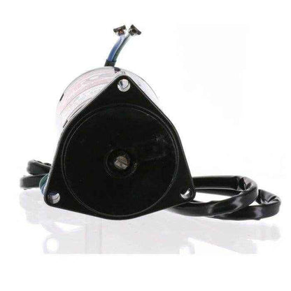 Tilt and Trim Motor Johnson Evinrude | Arco 6244
