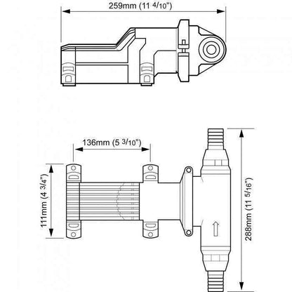 Whale Gulper Grouper MK2 Waste Pump | Whale BP4674