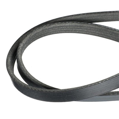 Alternator Belt 828507Q4