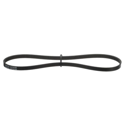 Alternator Belt 828507Q5