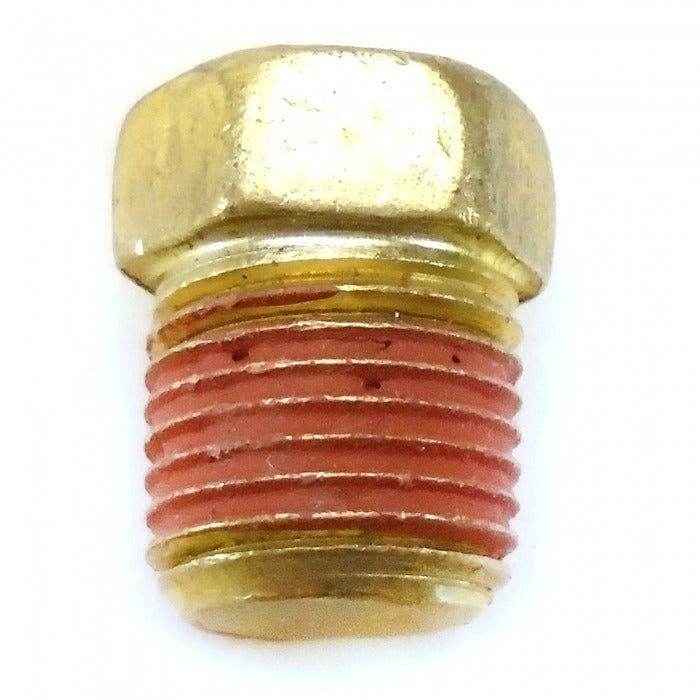 Brass Pipe Plug 1/8 Inch | Crusader RS3554 - MacombMarineParts.com