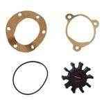Jabsco 10 Blade Jabsco Impeller Kit 18653-0001-P - MacombMarineParts.com