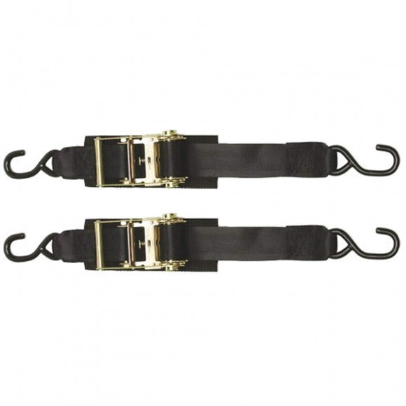 2in. x 2 ft. Heavy Duty Ratchet Transom Tie-Down 2 Pack | Boat Buckle F14206 - macomb-marine-parts.myshopify.com